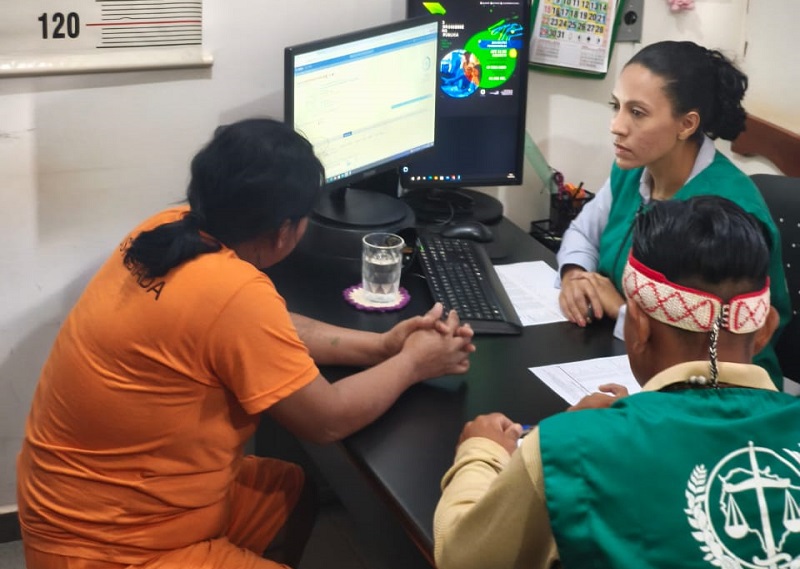 Dra Polyana inspecoes