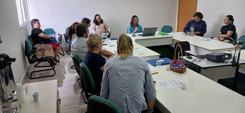 Dra Thaisa Conselho Direitos Humanos reuniao