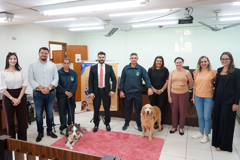 Patas que Acolhem site