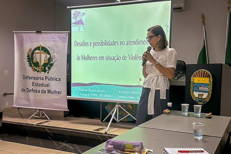 Defensoria Pública capacita rede de enfrentamento à violência contra a mulher em Selvíria